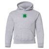 Gildan Heavy Blend Youth Hooded Sweatshirt - DT105 Thumbnail