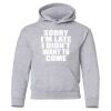 Gildan Heavy Blend Youth Hooded Sweatshirt - DT105 Thumbnail